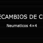 Neumaticos 4×4
