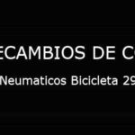 Neumaticos Bicicleta 29