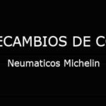 Neumaticos Michelin