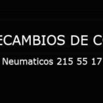 Neumaticos 215 55 17